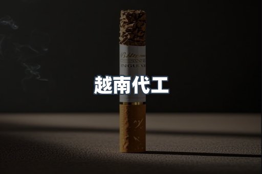 越南代工